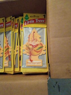 Little tree