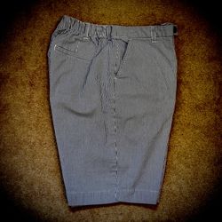 (#146) Women’s Lands’ End Seersucker Shorts 