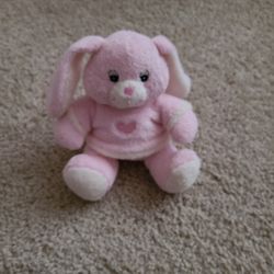 Bunny Rabbit Stuffed Animal