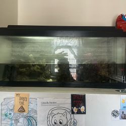 Fish Tank 30 Gallon With A One Fish Everything Included 