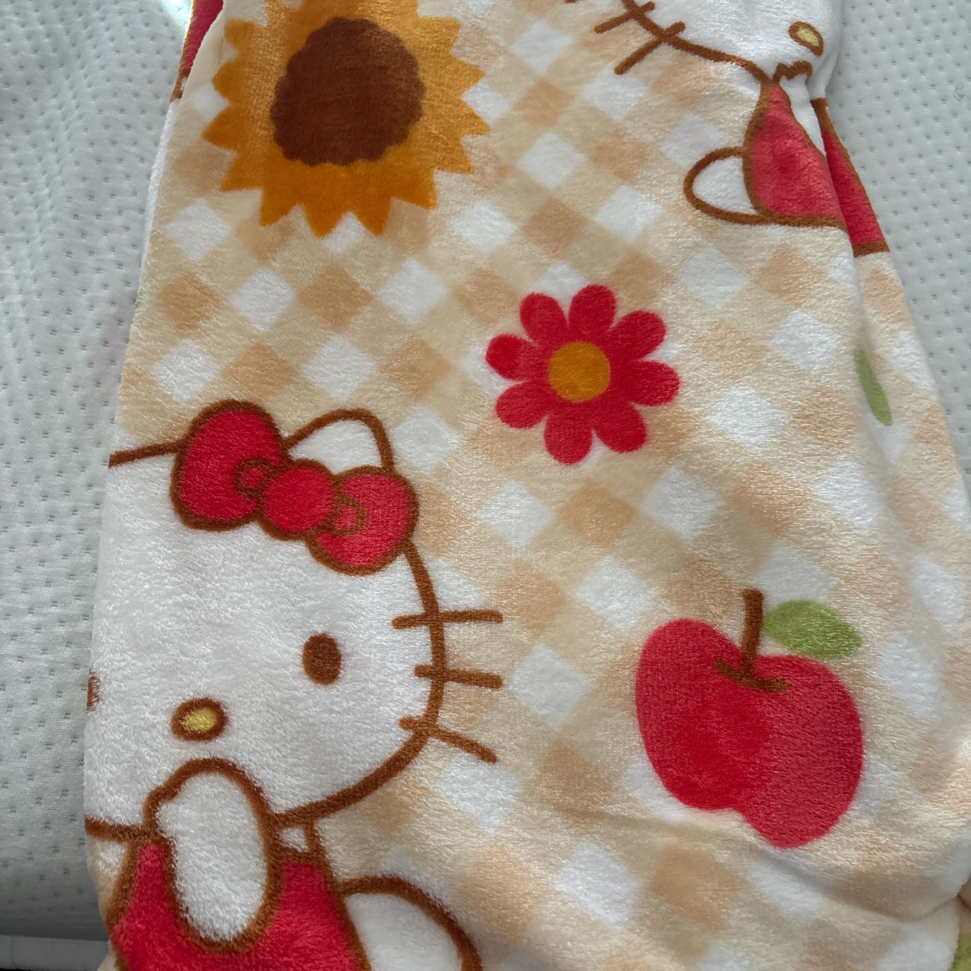 Hello Kitty Autumn Blanket