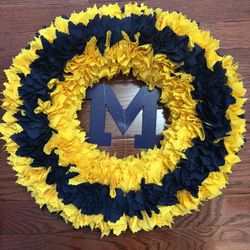 Michigan Football Themed Reef