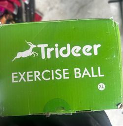 Trideer Exercise Ball