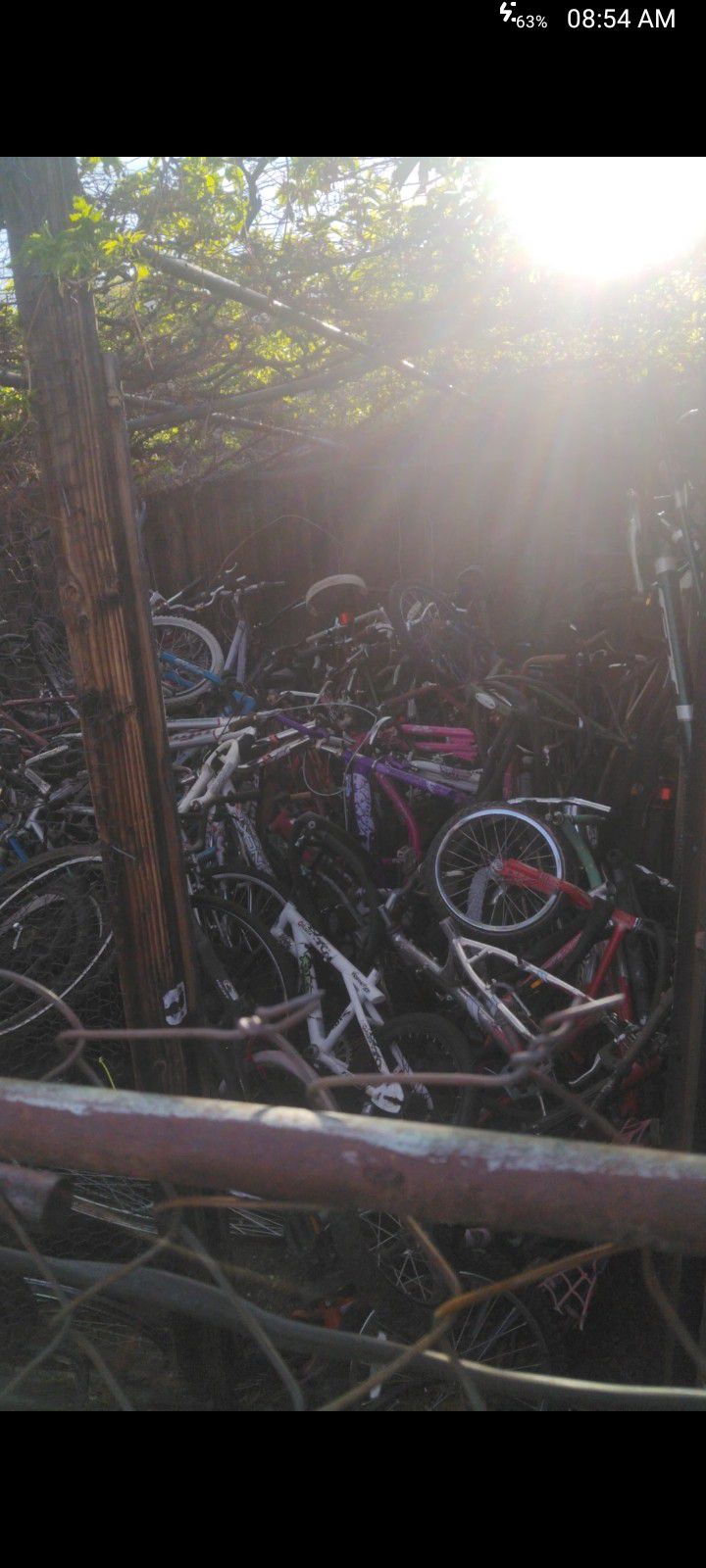 Bikes And More Bikes. BMX's Schwinn's And More. Vary  From $20 To $100 Each. 
