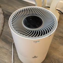 Air Filter - Bissel 