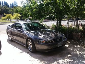 2003 Ford Mustang