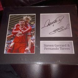 Steven Gerrard and Fernando Torres. 