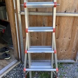 Little Giant -17’ Ladder