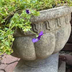 Stone Antique Planter