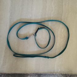 Dog Leach And Collar 