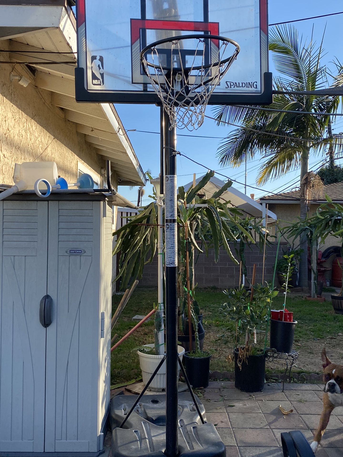 Portable Basketball Court