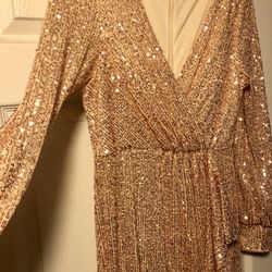 Sequin Champagne Dress See