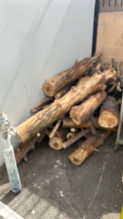 Free wood first come first serve
