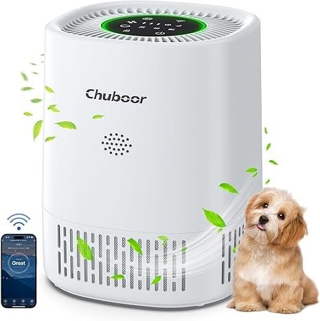 Smart Air Purifier