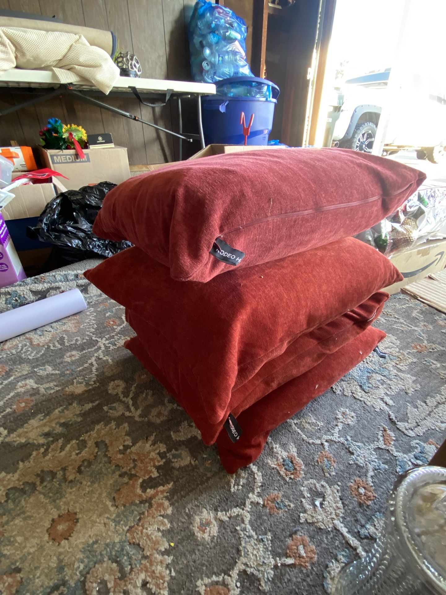 Feather 🪶 Sofa Pillows