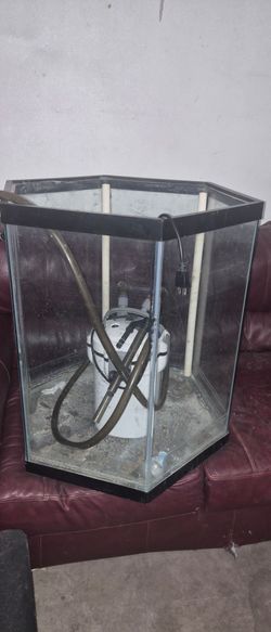 Fish tank