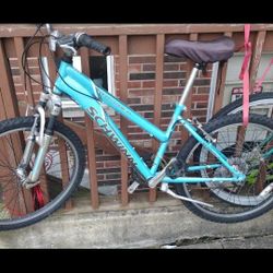 Nice Swenn Bike