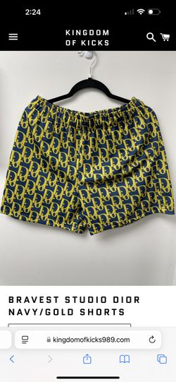 Bravest Shorts Size M Dior