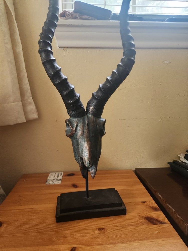 Springbok Skull