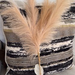Pampas 