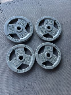 Olympic 45lbs & 35lbs Weights Plates Pair Set 160lbs Total