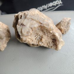 Wulfenite