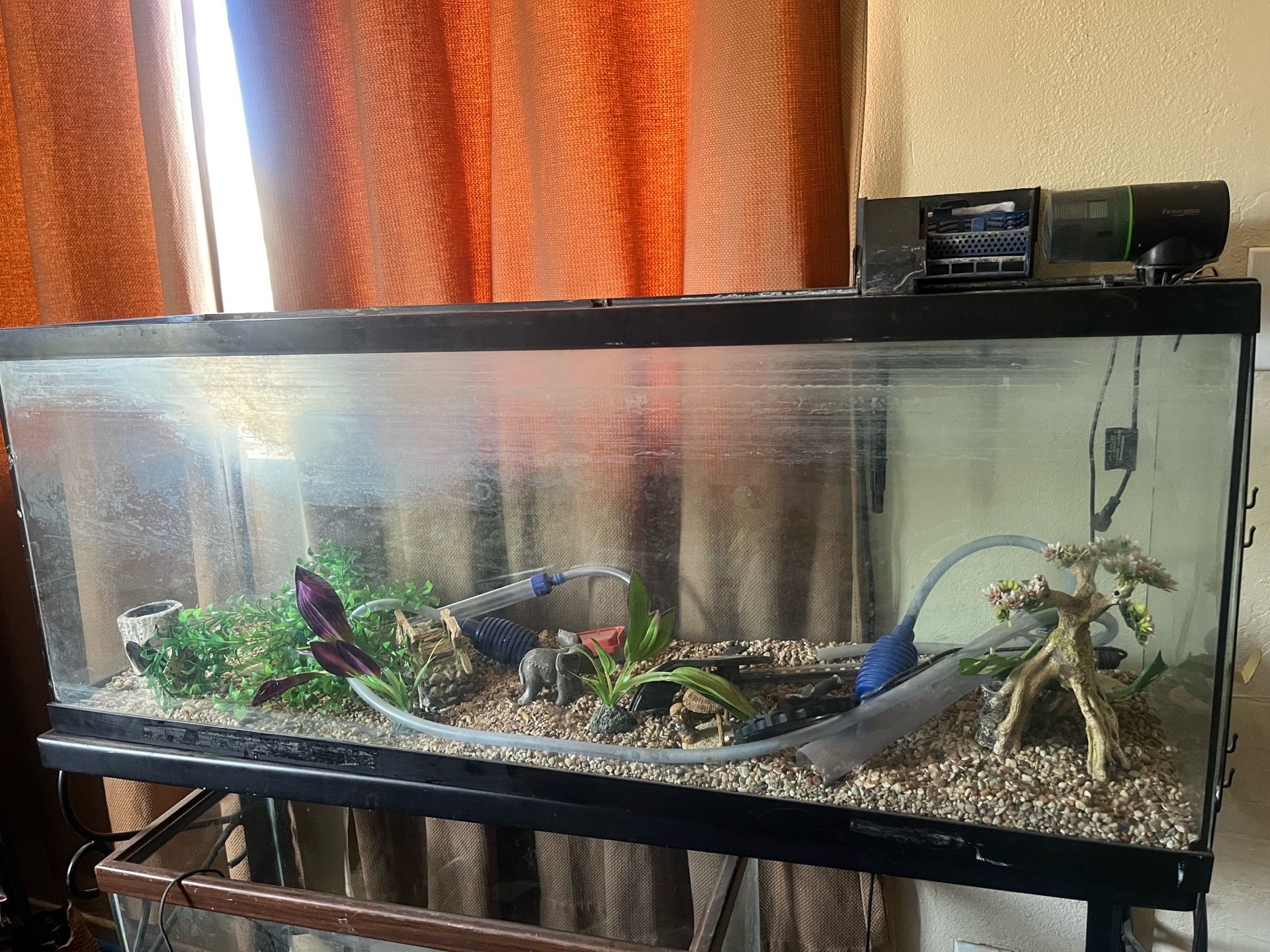 Large fish tank