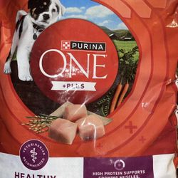 PURINA ONE PUPPY