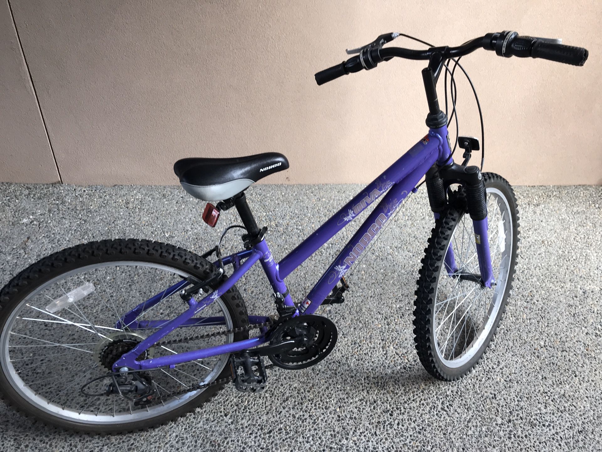 24” Norco Diva Bike for kids - great condition