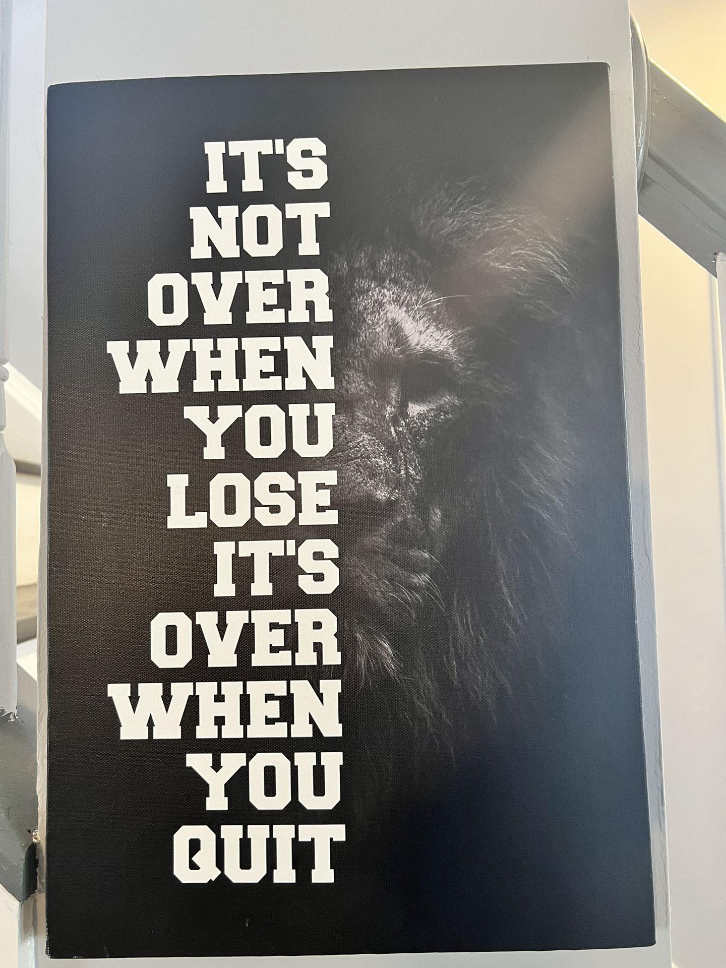 Lion Canvas Encouraging Words
