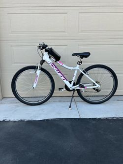 Schwinn mountain