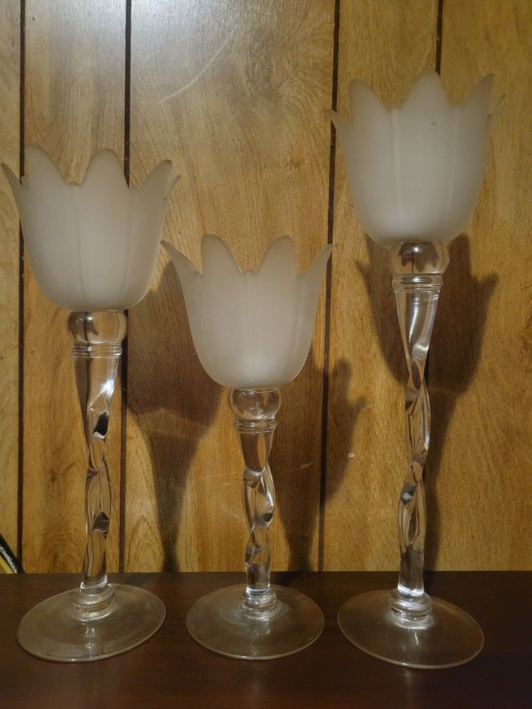 3  Frosted Tulip Candle Holders