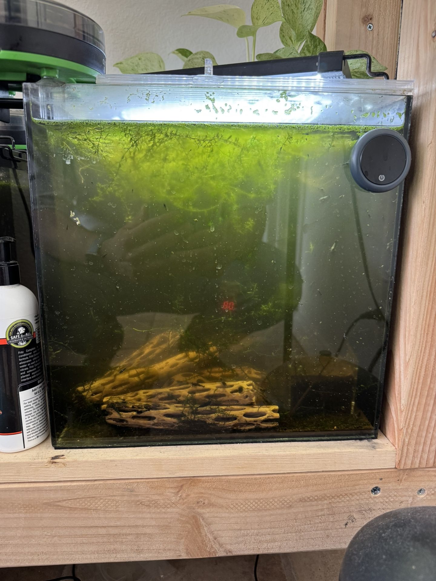 Aquarium and Supplies