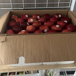 40LBS Crate Of  Apples