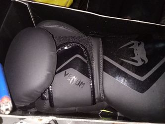 Venom punching gloves 16 ounces