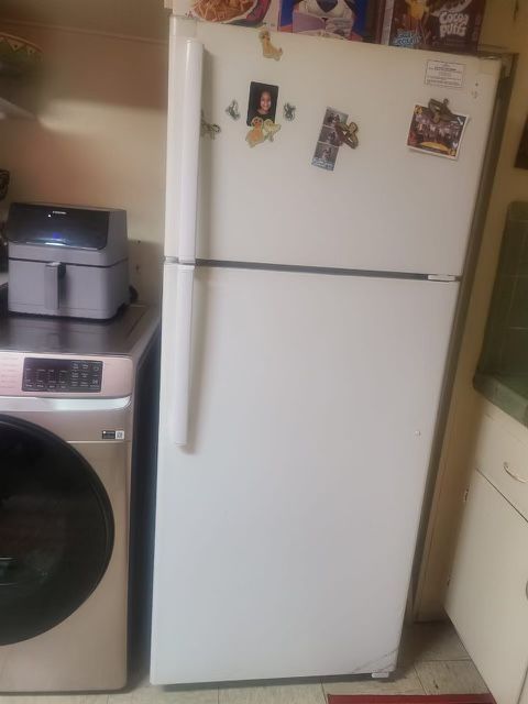 Freezer & Refrigerator