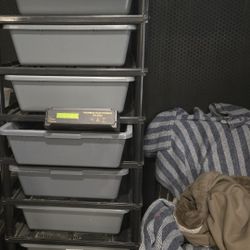 Snake Rack 