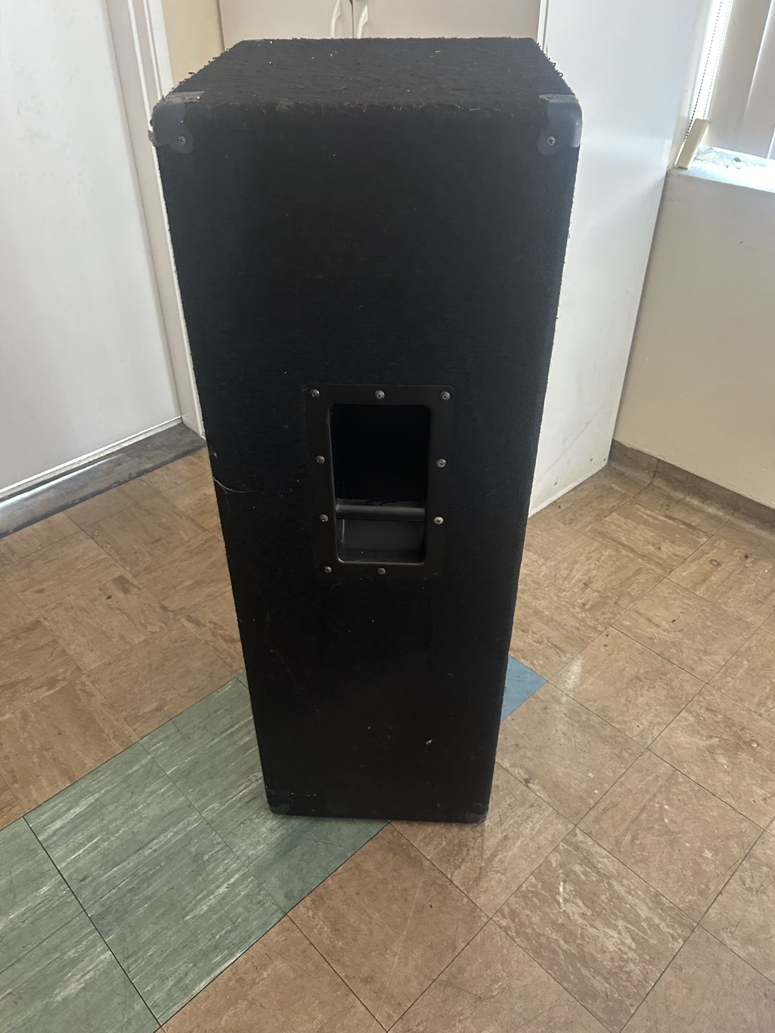 Two- Carbon LS2153 Passive Speakers