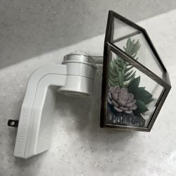 Succulent Wallflower Bath Body Works Plugin 