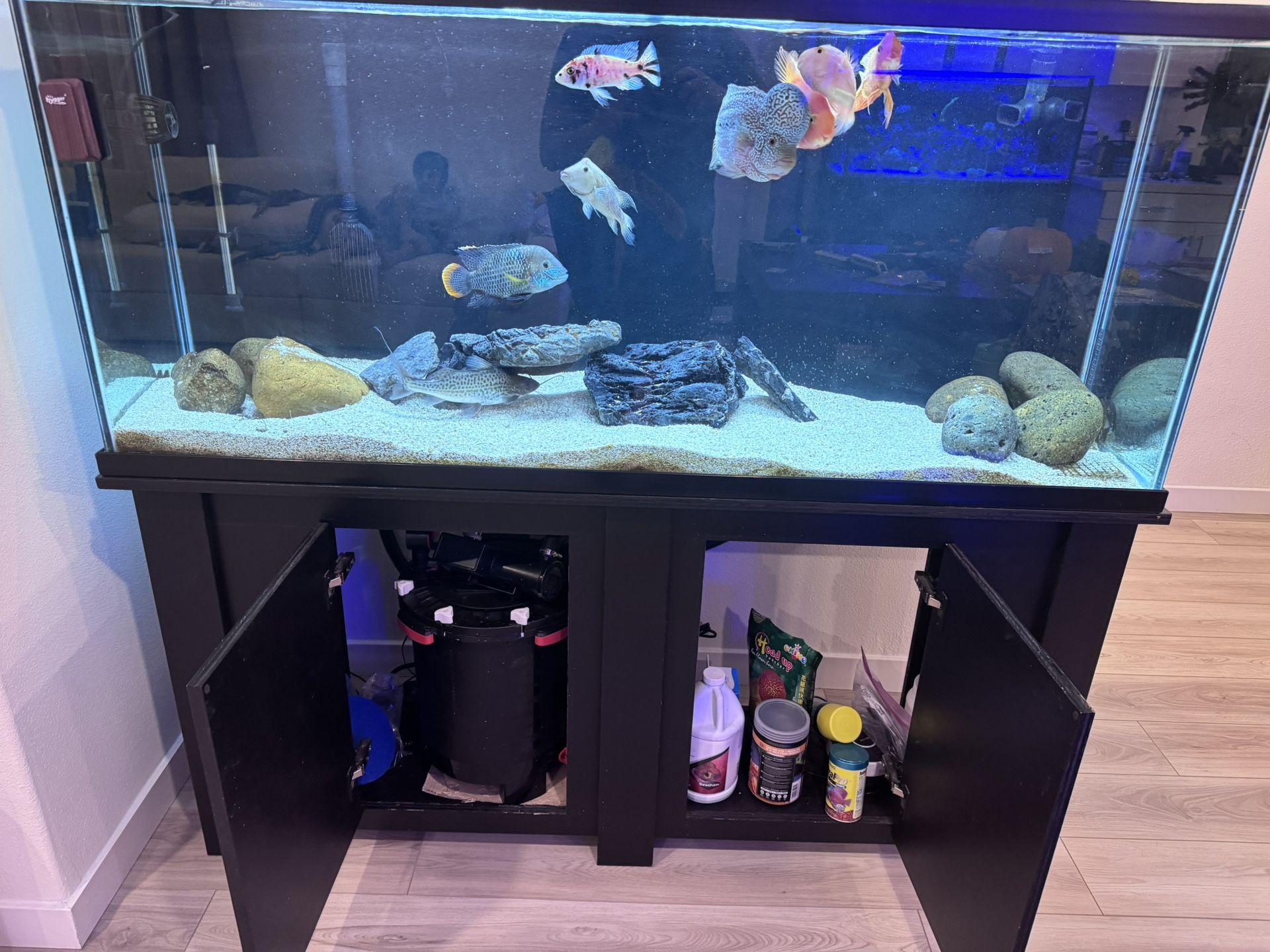 100 Gallon Aquarium Eurobraced