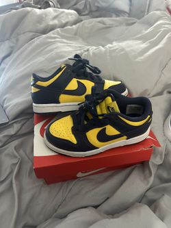 Nike Dunks Kids Size 11c
