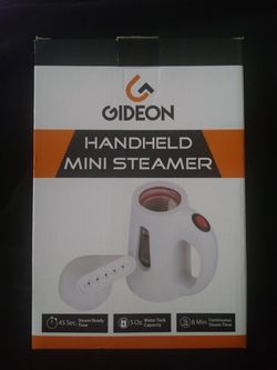 Mini handheld clothes steamer