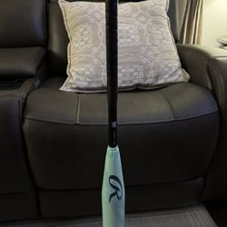 2026 Rawlings Icon Mint 31 -8 USA 