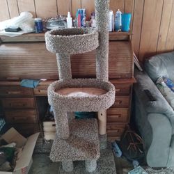 Cat Tree 