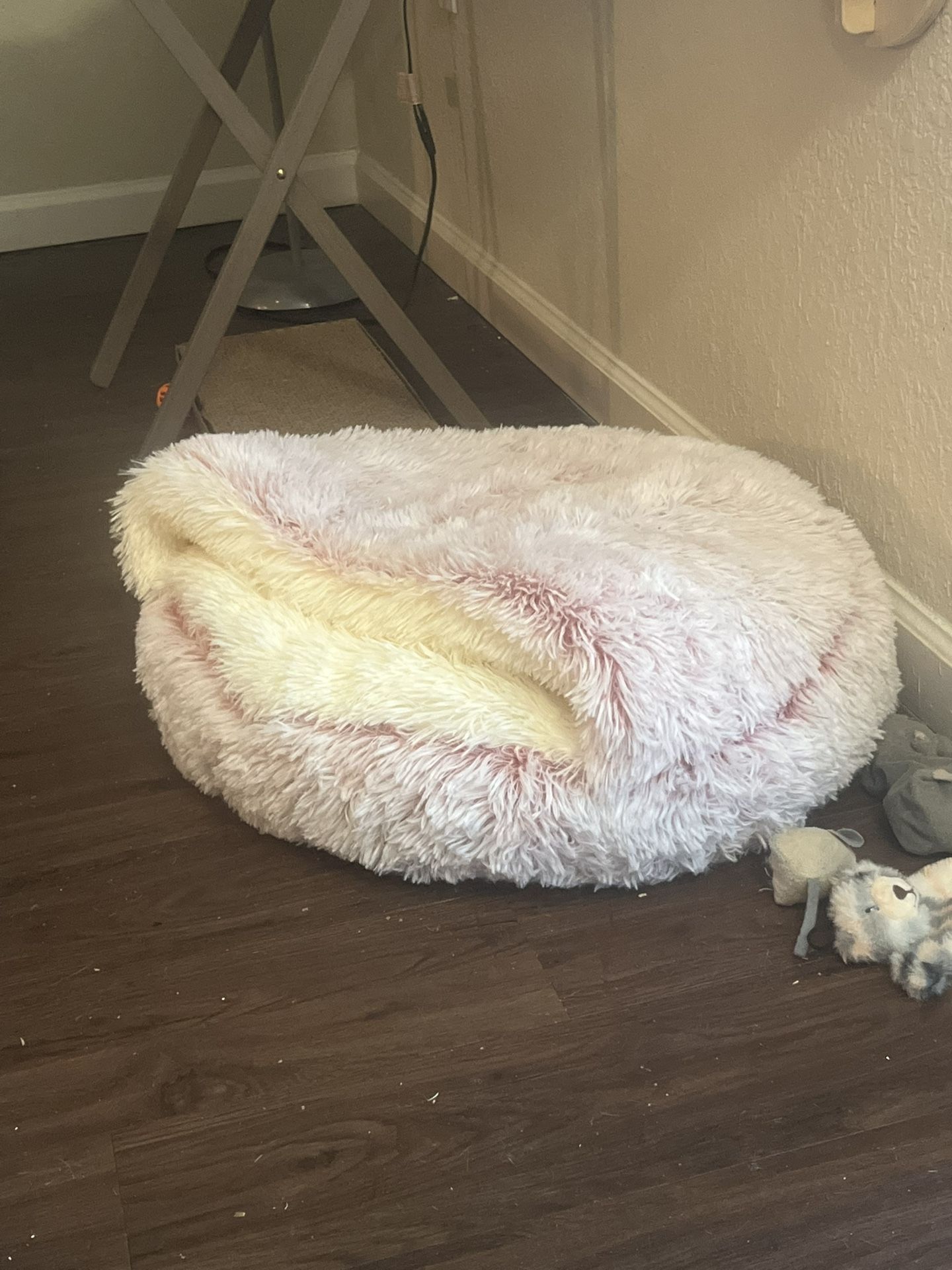 Cat Treadmill And Cozy