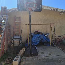 lifetime basketball hoop