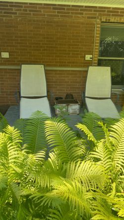 Crate and barrel retro patio lounge chairs qty 2