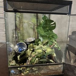 Enclosure With Lights 