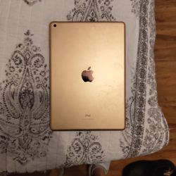Apple iPad