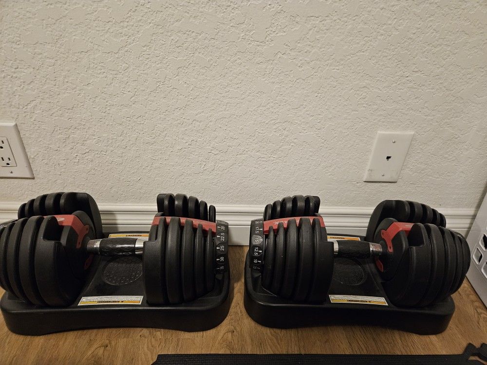 Bowflex Adjustable Dumbbell Set